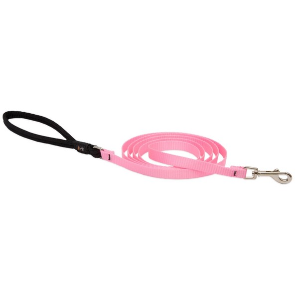 LupinePet Basics 1/2" Pink 6-foot Padded Handle Leash for Small Pets
