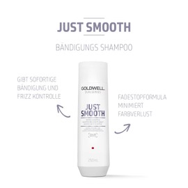 Goldwell Dualsenses Just Smooth Taming Shampoo for Unruly and Restless Hair 250ml