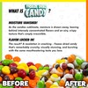 Fun Flavors Box Freeze Dried Candy Giggles Crispy Treats 3