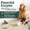 Enzyme Cleaner for Cat Urine | Cat Pee Odor Eliminator