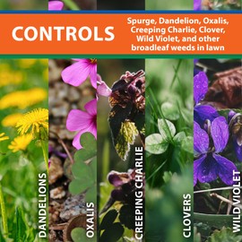 Monterey Spurge Power Bundled with Measuring Spoon - Post Emergent Selective Herbicide Concentrate - 1 Pint