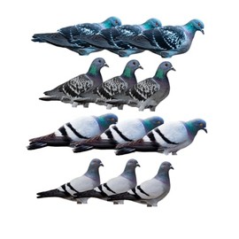 Banded GHG Pro Grade Silhouette Pigeon Decoys 6PK