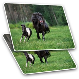 Rectangle Stickers(Set of 2) 7.5cm - Shetland Pony Foal Horse Kids Girls Fun Decals for Laptops,Tablets,Luggage,Scrap Booking,Fridges, 24183