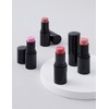 Hera [헤라] NEW 블러쉬 스틱 5종 (택1) [Hera] NEW Blush Stick 5 Types (Choose 1)