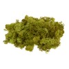 100 g Real Icelandic Moss Arrangement Craft 100% Natural Decoration