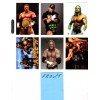TRIPLE H CUSTOM TRADING CARD 6 CARDS SET