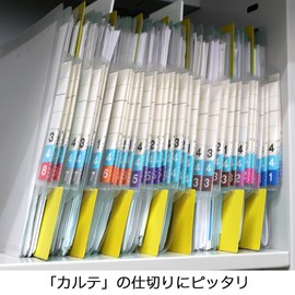 Divider Guide [A4 Horizontal Type [Lateral] Documents, Shelf, Medical Record Folder, Divider Board, Organization, Tray, Set of 10 (Beige)