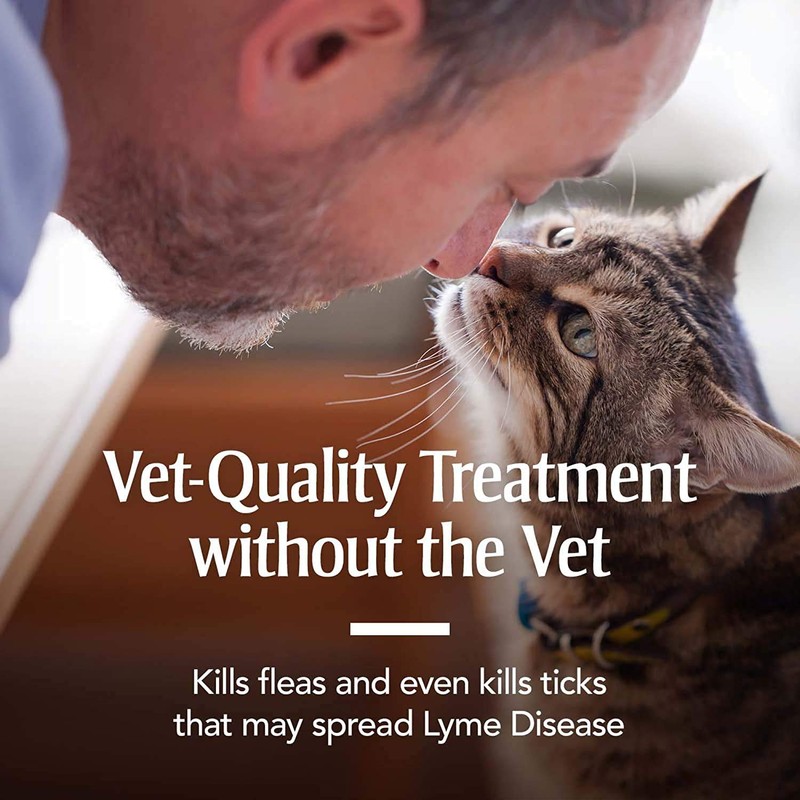 PetArmor Plus Flea & Tick Prevention for Cats with Fipronil