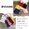 Maison de TAO Going Out Pleated Folding Lightweight Carrying Bag,