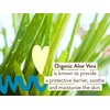 Loción De Protección Solar Babo Botanicals Daily Sheer Mineral Spf40