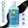 Shampoo Capilar De Cola De Caballo 500ml