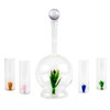 Tequila Aloe Decanter Set with Agave Plant - 750mL Bottle,