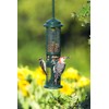Squirrel Buster Nut Feeder Squirrel-Proof Bird Feeder for Nuts and