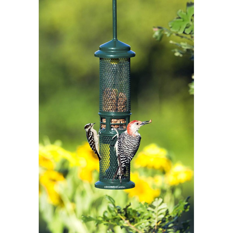 Squirrel Buster Nut Feeder Squirrel-Proof Bird Feeder for Nuts and