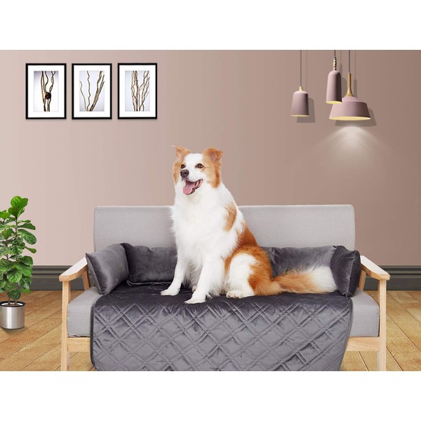 Brilliant Sunshine Premium Silky Velvet Large Pet Couch Sofa Bed,