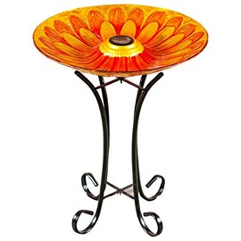 Hi- Line Gift 78415-A Solar Floral Glass Bird Bath with Stand