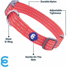 Blueberry Pet Essential Large Safety Reflective Dog Collar in FieryRed | Adjustable Classic Nylon Strap | Durable, Stylish & High-Visibility Pet Accessory