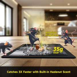 12-Pack Extra Wide Rat Traps, Heavy Duty Glue Traps for Mice & Rats - Eco-Friendly Indoor Pest Control, Tunnel Design Rat Trap with Super Sticky Adhesive (Mouse Killer, Safe for Kids & Pets)