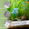 4 Pack Clear Glass Planaria Trap Catch Trap Aquarium Leech