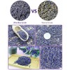TooGet Fragrant Lavender Buds Organic Dried Flowers Wholesale, Ultra Blue