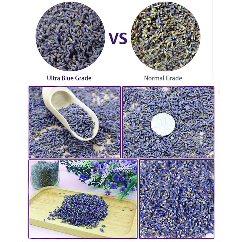 TooGet Fragrant Lavender Buds Organic Dried Flowers Wholesale, Ultra Blue
