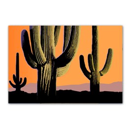 Saguaro Sunset Postcards - 4 x 6 Western Desert Postcards - 40 Desert Cactus Postcards (Saguaro)