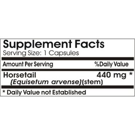 Horsetail 440mg // 200 Capsules // Pure // by PureControl Supplements