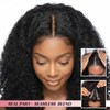 EINAEY V Part Wig Afro Curly Synthetic Kinky Curly V