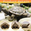 RELKLYU 2 Simulated Turtle Models, Garden Decoration Embellishments, Garden Landscaping,