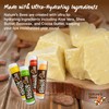 Nature's Bees Lip Balm, Bulk Lip Care Pack for Dry,