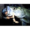 Abu Garcia SSGDRN100MM7.7G-BLGRB Salty Stage Godron Sea Bass Lure, Black