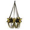 Beistle Party Supplies 54753-BKGD Star Chandelier, 35" (Black/Gold)