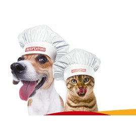 T90 Beefeaters | Chicken Jerky| Pechuga de Pollo Deshidratada | Carnaza de Perro | Premio para Perro | Premio para Perro 100% Natural Deshidratado| 68