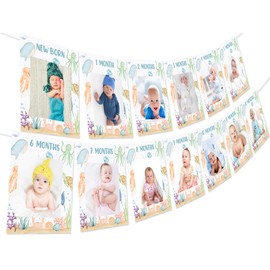 Fangleland Under The Sea 1st Birthday Photo Banner Decorations for 1 Year Old Boys Girls, Ocean Animal Photo Banner From Newborn to 12 Months Monthly Milestone First Birthday Party Supplies