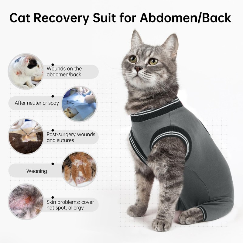 Recovery Suit Cat, Surgical Body Cat Castration Cats Body Operation