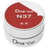 Dna Gel Color Gel N37 2.5g Apricot Bloom
