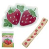 MUSUBI Fruit Pattern Ice Pack Lunch Belt Set, Cold Insulation,