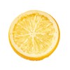 Tokyodo FV003640-zzz Lemon Slice, Φ2.0 x Depth 0.4 inches (5