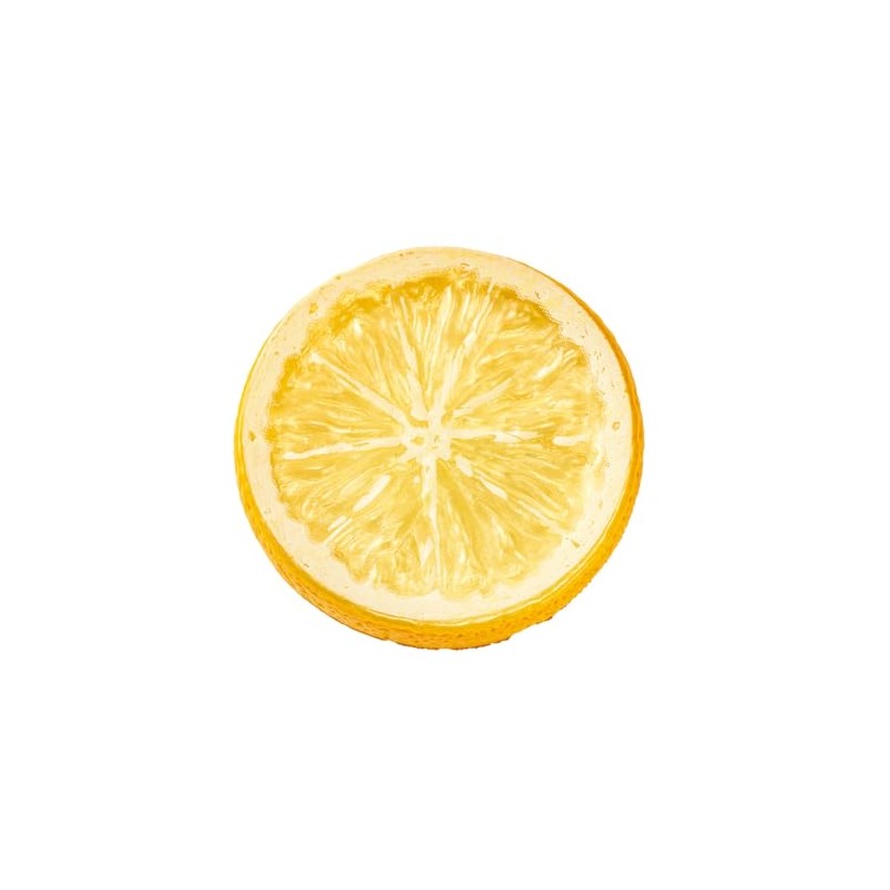 Tokyodo FV003640-zzz Lemon Slice, Φ2.0 x Depth 0.4 inches (5
