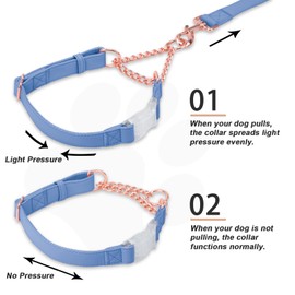 Soft Leather Martingale Collar for Dogs, Rose Gold Chain Limited Slip Collars with Quick Release Buckle, Stylish Adjustable Nylon No Pull Training Collar for Small Medium Large Dogs Blue Purple Medium