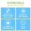 Oyster Shells, 15.5 Ounces
