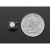 Adafruit 3101 Soft Tactile Button 8mm 10 Count