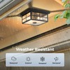 VIANIS Motion Sensor Outdoor Ceiling Light with Remote Control, 2-Light