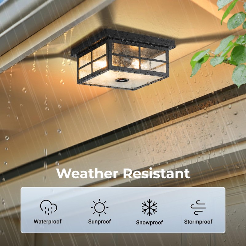 VIANIS Motion Sensor Outdoor Ceiling Light with Remote Control, 2-Light