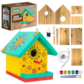 SparkJump Jr Bird House Kit, DIY Cedar Wood Birdhouse for Outdoors with Paint, Fun for Kids & Adults, Bird House Making Kit for All Ages (1-Pack)