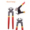 Farrier Tool Kits - 8 inch Professional Farriers Hoof Nipper