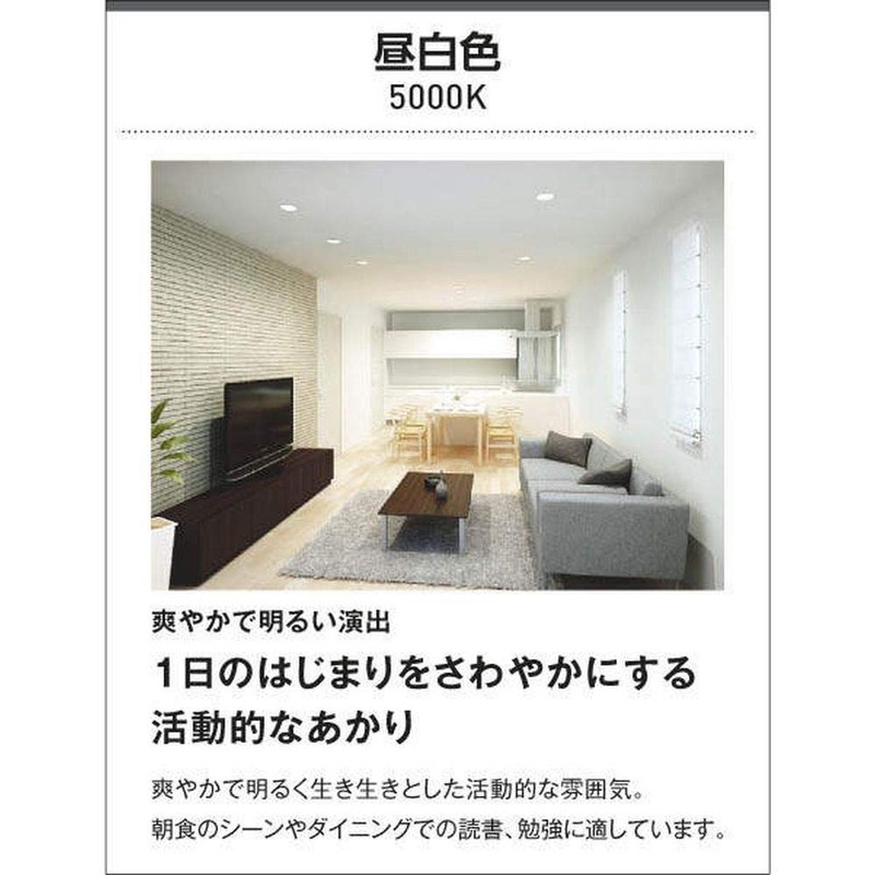 Koizumi Lighting AU43655L Security Light, FL20W Equivalent, Daylight White, Silver