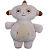 IN THE NIGHT GARDEN 2069 Super Squashy Soft Toy-Makka Pakka,