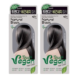 EZN Touch Vegan Hair Color Dye Hypoallergenic Gray Gray Cover / 이지엔 터치 비건 헤어컬러 염색약 저자극 새치커버