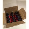 STP Gas Treatment Fuel Intake System Cleaner Bottles 5.25 Fl